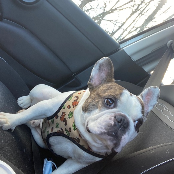 Meet your Posher, Jeremy - Picture 1 of 1